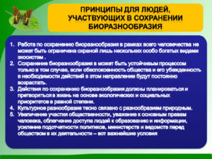 Гуанчжоу: меры по сохранению биоразнообразия